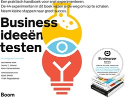 Businessideeën testen